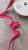 Косая бейка малинового цвета (хлопок 100%), ширина 1,3 см Италия КИМ/13/22816 по цене 59 руб./метр